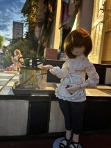 実店舗ドールショップのみの営業をはじめます