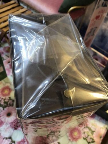 画像3: Hestia 『異蘇羅 朔の夜 』 ※ジュンプランニング※デッドストック美品2006年８月発売 (3)