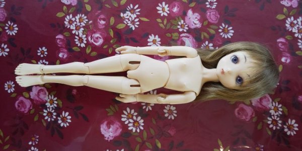 画像3: 【取扱い開始記念・特別プライス】球体関節人形キャスト製ドール【プリコ ナチュラルカラーヘア】【 Shiny DOLL 】 ※送料無料※ (3)