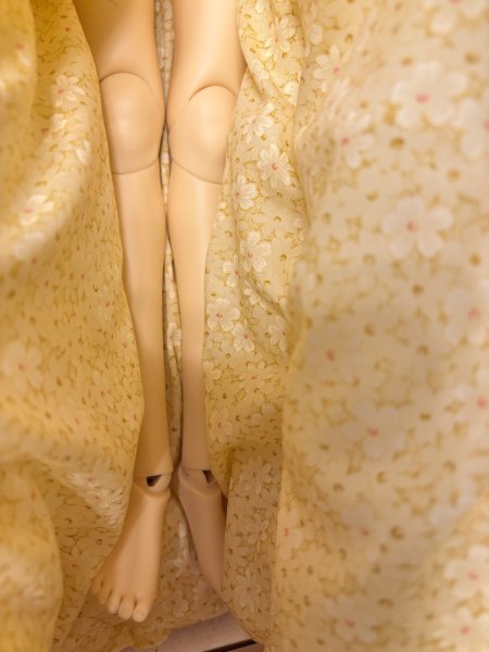 画像7: 創作人形 キャスト製【 Shiny DOLL  Kｉｓｕi】56cm Thaatha bodyウィッグとアウトフィット付き※送料無料 (7)