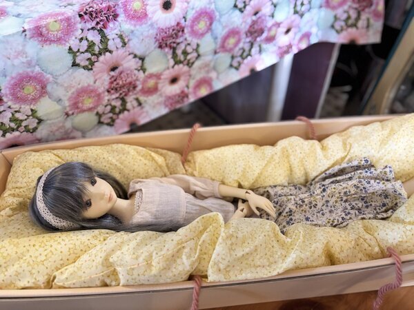 画像3: 創作人形 キャスト製【 Shiny DOLL  】56cm Thaatha bodyウィッグ付き※送料無料 (3)