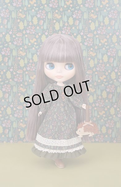 画像3: ［ご予約枠］2025年11月28日発売予定ブライス『ブライス ヘッジホッグのヘーゼル』 (3)