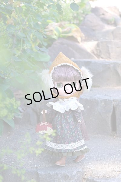 画像5: ［ご予約枠］2025年11月28日発売予定ブライス『ブライス ヘッジホッグのヘーゼル』 (5)