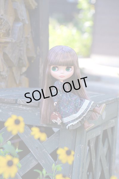 画像6: ［ご予約枠］2025年11月28日発売予定ブライス『ブライス ヘッジホッグのヘーゼル』 (6)